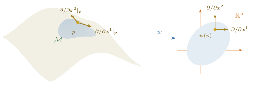 The vectors ∂/∂x¹|p and ∂/∂x²|p are the push-forward of the standard basis on ℝ² under Φ = ψ<sup>−1</sup>; they are genuine tangent vectors to the surface at p.