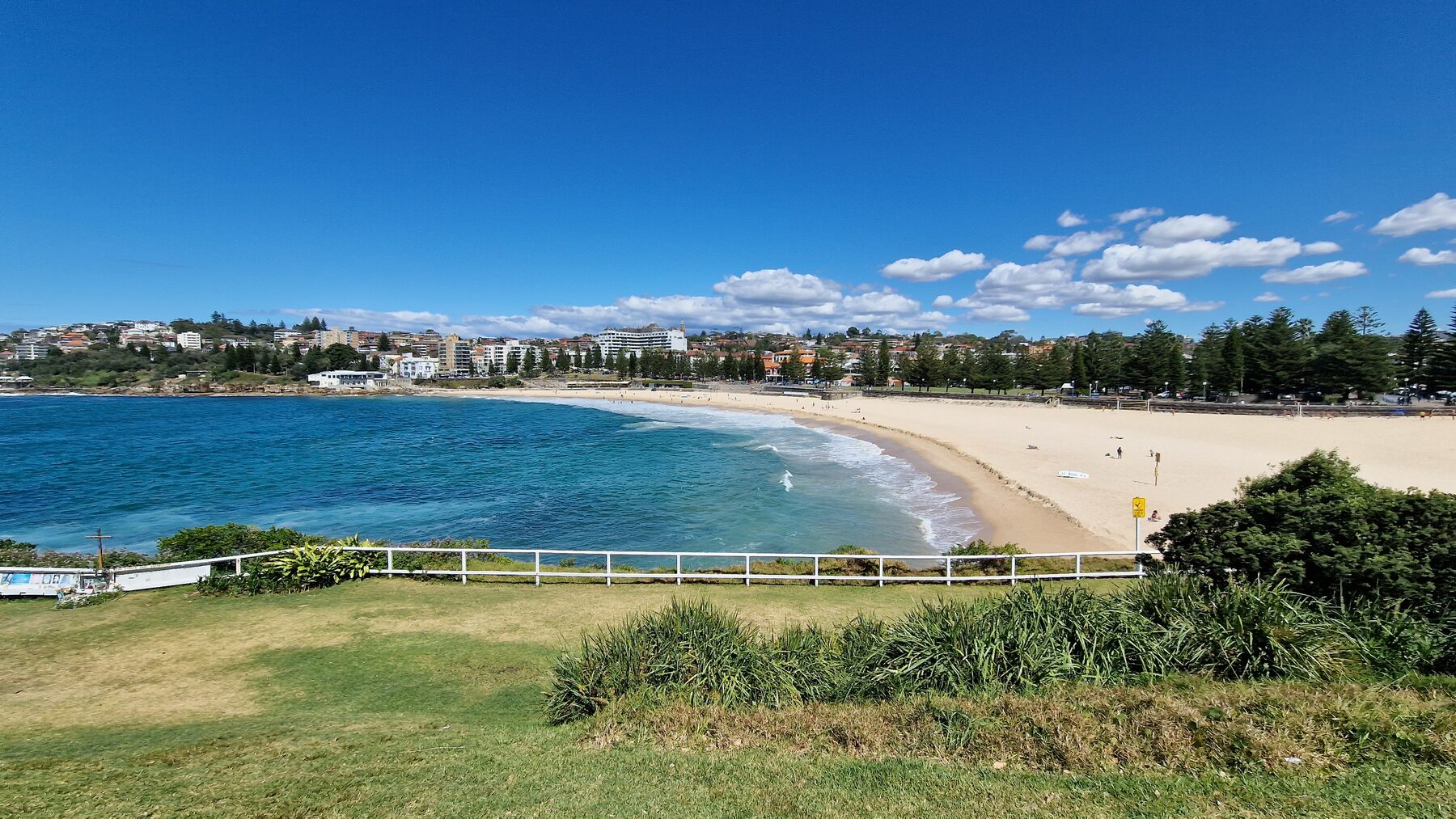 A wide view over a curved sandy beach and a blue bay from a grassy headland, with a town behind the beach under a clear sky.